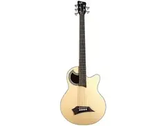 Warwick Alien Standard 5 main image