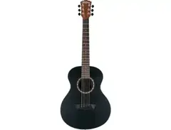 Washburn Apprentice G-Mini 5 main image