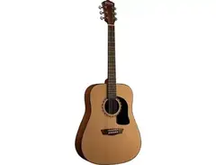 Washburn Apprentice Series D5 main image