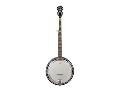 Washburn B16K Americana Series 5-String Banjo main image