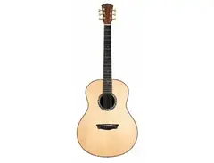 Washburn Bella Tono Elegante S24S