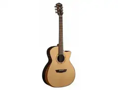 Washburn Comfort G20SCE main image