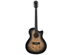Washburn Deep Forest Burl ACE