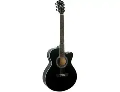 Washburn Festival EA12 main image