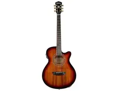 Washburn Festival EA55G main image