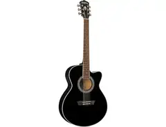 Washburn Festival Series EA10 main image