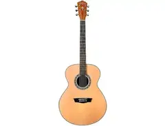 Washburn Harvest G7S main image