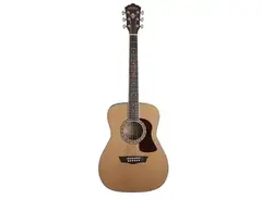 Washburn Heritage F11S main image