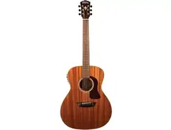 Washburn Heritage G120SWE main image
