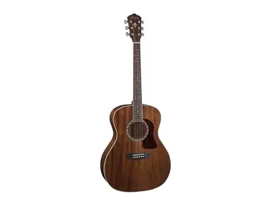 Washburn Heritage Series G12S