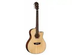 Washburn Woodline O10SCE main image