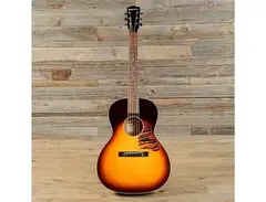 Waterloo	WL-14X T-Bar X-Braced Parlor Acoustic main image