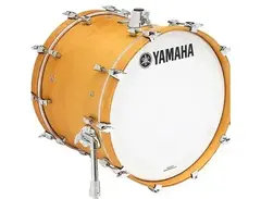 Yamaha AMB-2216 Absolute Hybrid Maple 22x16" Bass Drum main image