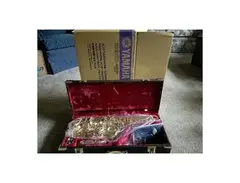 Yamaha YAS-575AL Allegro Soprano Saxophone main image