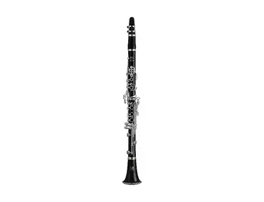Yamaha YCL-650 Professional Bb Clarinet