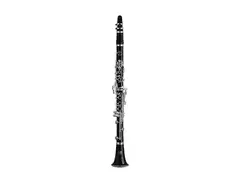 Yamaha YCL-650 Professional Bb Clarinet main image