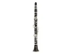 Yamaha YCL-881 Custom Eb Soprano Clarinet main image