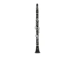 Yamaha YCL-CSVRA Custom A Clarinet main image