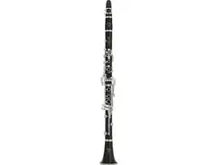 Yamaha YCL-SEVR Custom Bb Clarinet