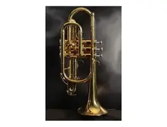Yamaha YCR-2310II Student Bb Cornet main image