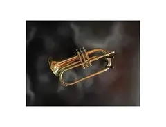 Yamaha YFH-2310 Student Bb Flugelhorn main image
