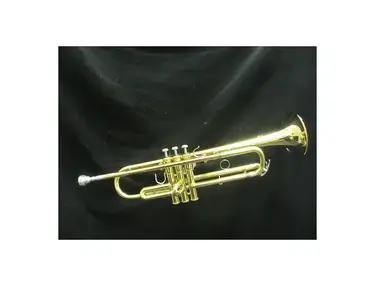 Yamaha YFH-6310Z Bobby Shew Series Bb Flugelhorn
