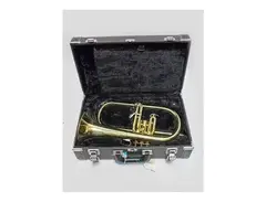 Yamaha YFH-6310Z Professional Bb Flugelhorn main image