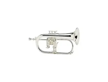 Yamaha YFH-8315G Custom Flugelhorn