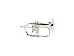 Yamaha YFH-8315G Custom Flugelhorn main image