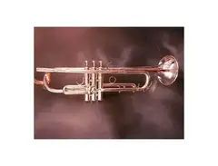 Yamaha YTR-6310ZS Trumpet main image
