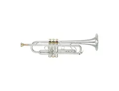 Yamaha YTR-8335RS25TH Xeno 25th Anniversary Bb Trumpet main image