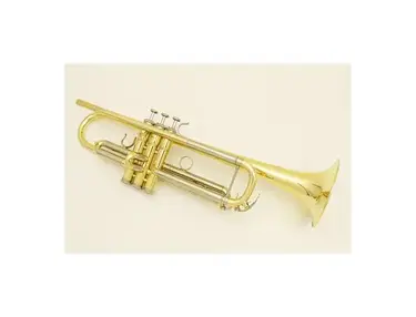 Yamaha YTR-850GS Custom Bb Trumpet