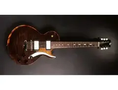 Sakashta Noupaul with J.M. Rolph Humbuckers (24 3/4" Scale) main image