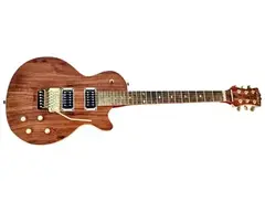 C.R. Alsip Guitars VLP main image