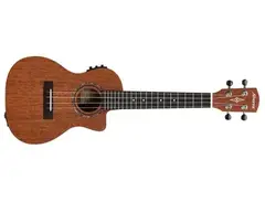 Alvarez RU22CCE Concert Ukulele main image