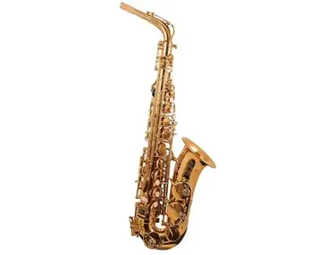 Trevor James "The Horn" Alto Saxophone