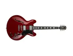 Donner DJP-1000 Electric Jazz Guitar main image