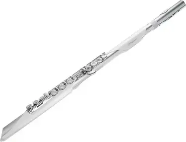 Roland Aerophone Brisa Digital Wind Instrument