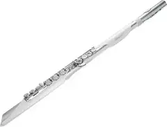 Roland Aerophone Brisa Digital Wind Instrument