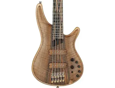 Ibanez Custom Shop Visions SR 5-string Electric Bass Guitar