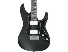 Ibanez BER10 Bernth Signature Electric Guitar