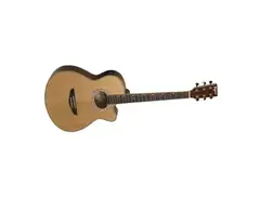 Tagima Dallas Natural Acoustic Guitar main image