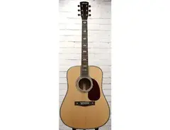Guitar Fetish ASTREA AS810 Dreadnaught Acoustic main image
