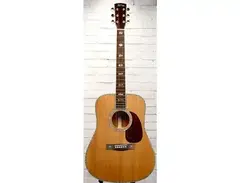 Guitar Fetish ASTREA AS820 Dreadnaught Acoustic main image