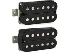 Seymour Duncan APH-2 Slash Humbucker Pickup Set main image