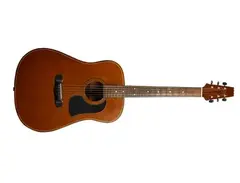 Aria AW-70 Acoustic Guitar main image