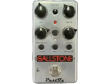 PastFx Gallstone