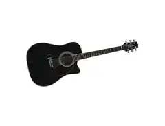 Takamine EF341C Guitar