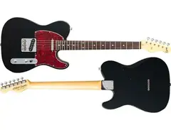 Black Cloud Black Smoker TM Delta S Guitar main image