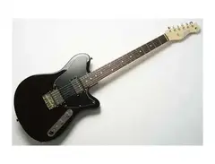 Freedom Custom Guitar Research Shaker Guitar main image